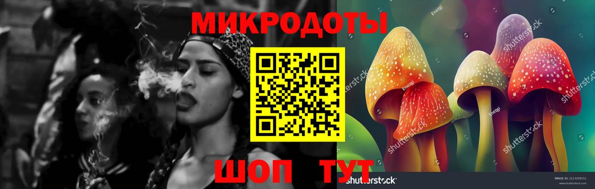 Галлюциногенные грибы MAGIC MUSHROOMS  Вход с VPN  купить наркоту  Симферополь 
